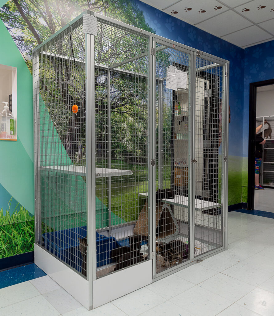 New wall art & cages at Mon County Canine adoption center