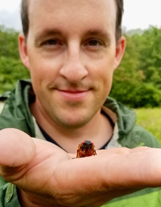 scientist holding cicada