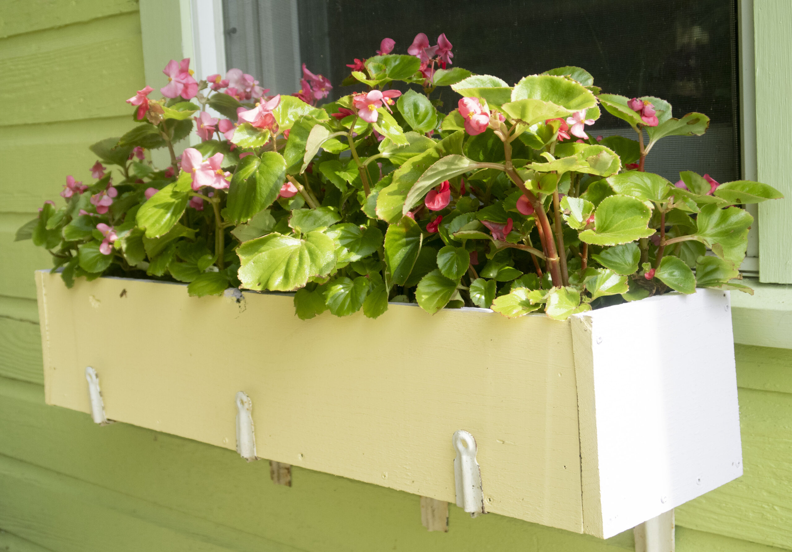 a home-made window box filled with seasonal flowers