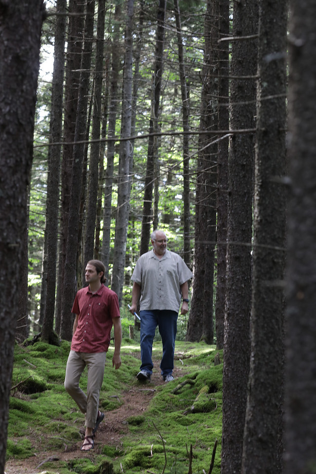 researchers walk through forest