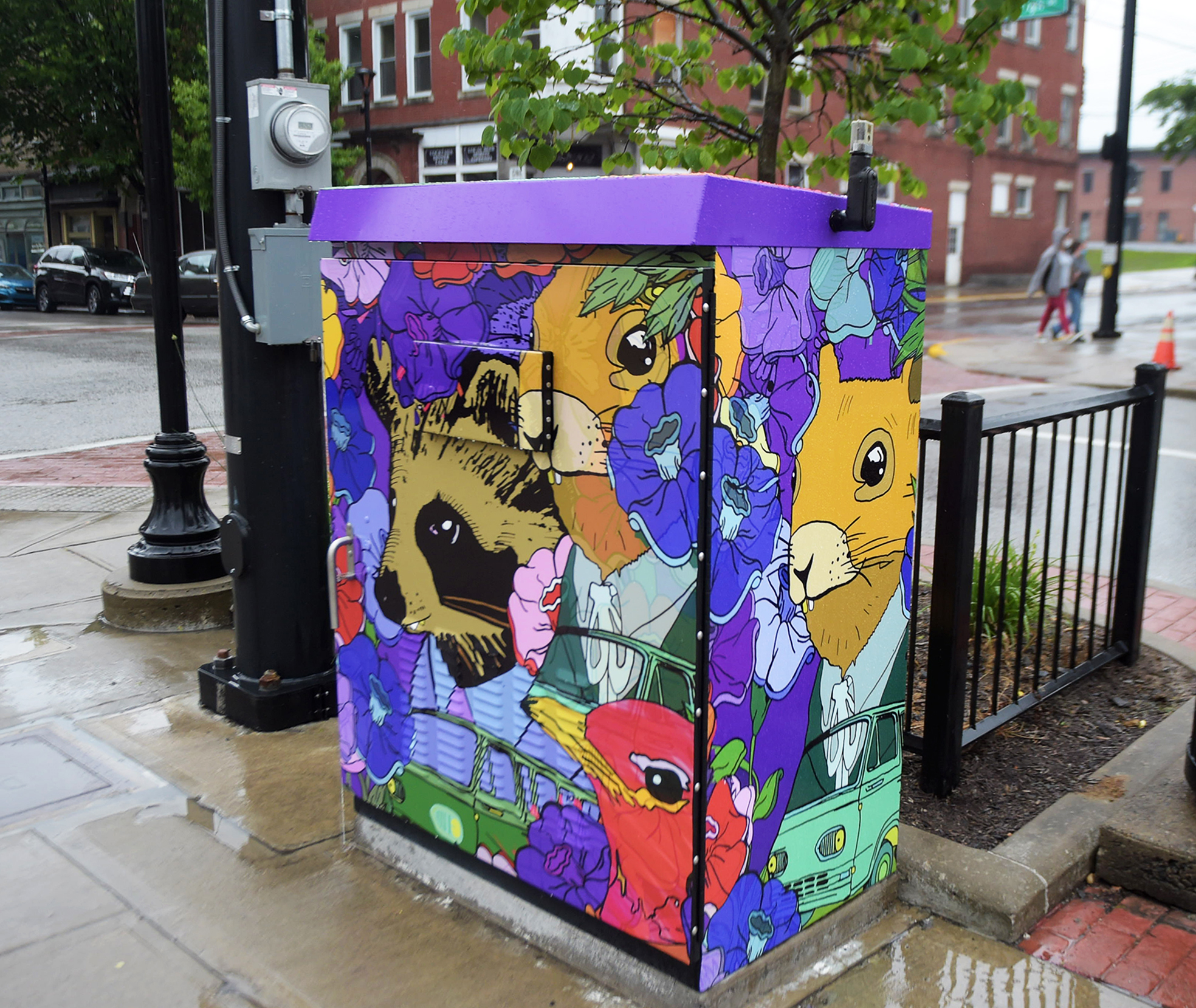 wrapped electric box