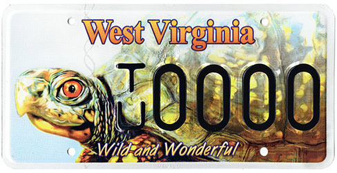 DMV announces launch of new Eastern Box Turtle licenses plates