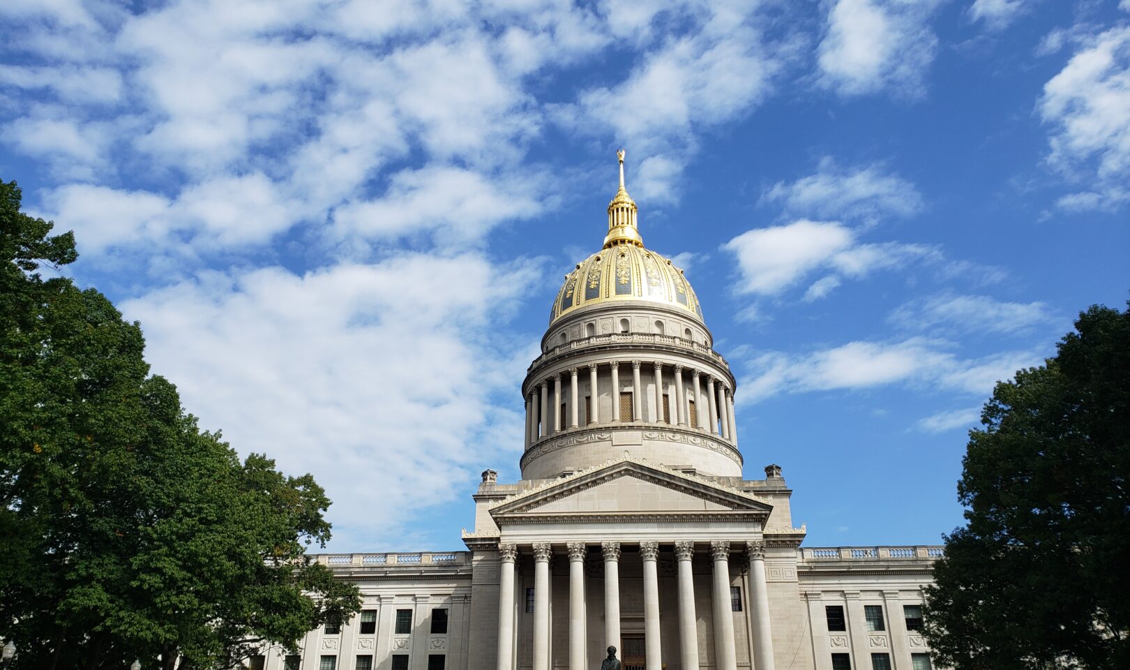State Senate 14th District candidates field questions from The Dominion ...