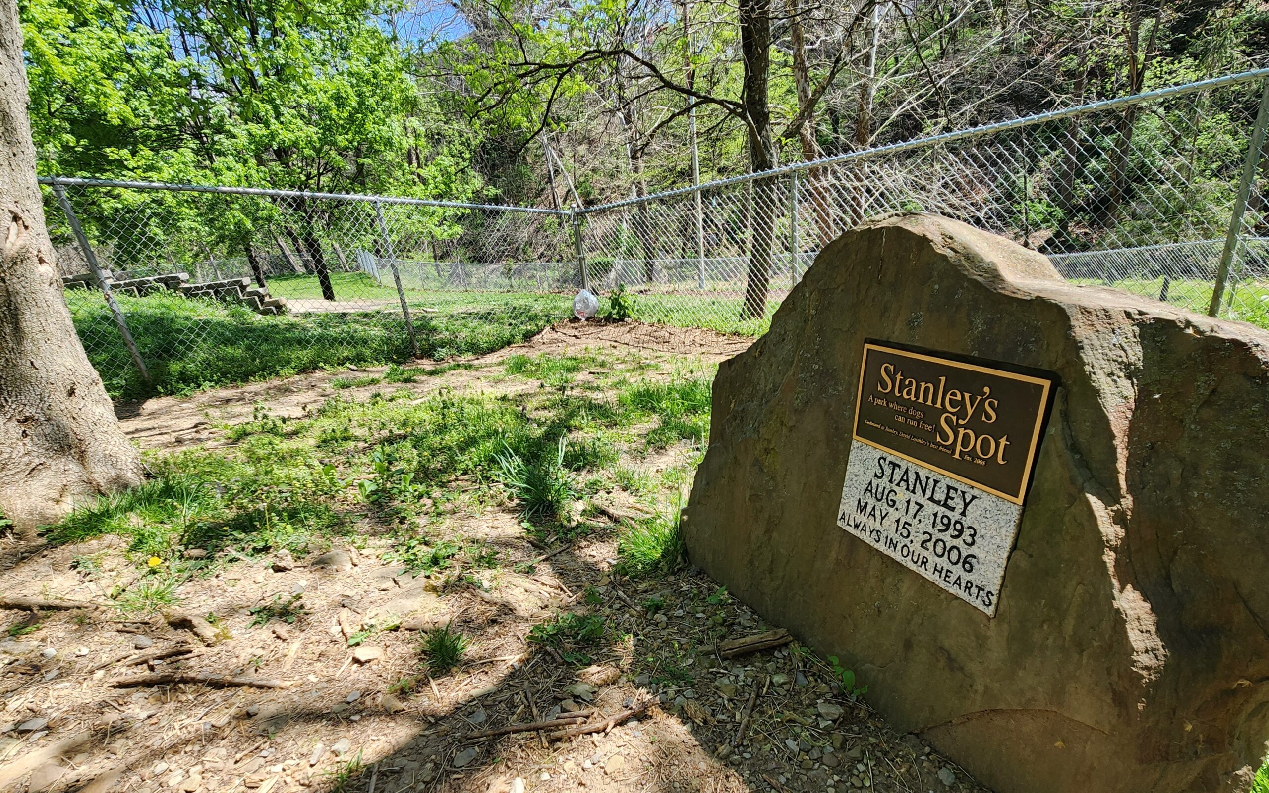 Grant sought for Deckers Creek runoff project below Stanley’s Spot Dog Park